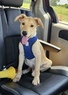Tucker - Photo 11