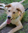 Tucker - Photo 1