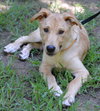 Tucker - Photo 2