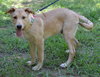 Tucker - Photo 5