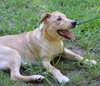 Tucker - Photo 4