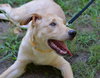 Tucker - Photo 8