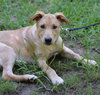 Tucker - Photo 7