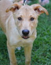 Tucker - Photo 3