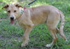 Tucker - Photo 6