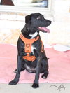 Abby - Photo 3