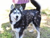 Vader - Photo 2