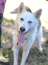 Delilah - Photo 3