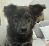 Ursa - Photo 10