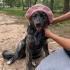 Ursa - Photo 6