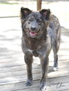 Ursa - Photo 2
