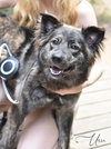 Ursa - Photo 4
