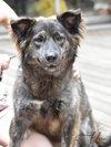 Ursa - Photo 5