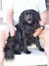 Sasha - Photo 5