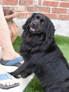 Sasha - Photo 11