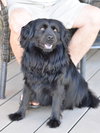 Sasha - Photo 12