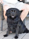 Sasha - Photo 13