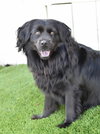 Sasha - Photo 14