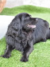 Sasha - Photo 15