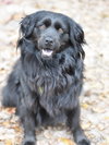 Sasha - Photo 4