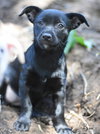 Bree - Photo 20