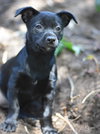 Bree - Photo 21