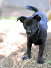 Bree - Photo 19