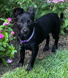 Bree - Photo 14