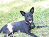Bree - Photo 6