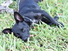 Bree - Photo 7