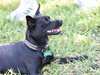 Bree - Photo 8