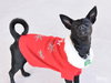 Bree - Photo 2