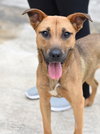 Penny - Photo 8