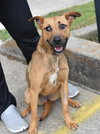 Penny - Photo 7