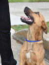 Penny - Photo 9