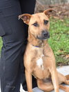 Penny - Photo 10