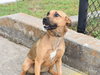 Penny - Photo 12