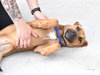 Penny - Photo 13