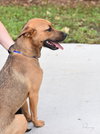 Penny - Photo 15