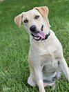 Chloe - Photo 9