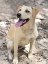Chloe - Photo 2