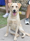 Chloe - Photo 7