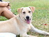 Chloe - Photo 6