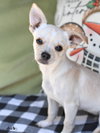 Charlie - Photo 1