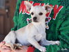 Charlie - Photo 5