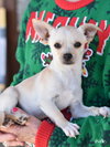 Charlie - Photo 4
