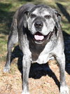 Tilly - Photo 7