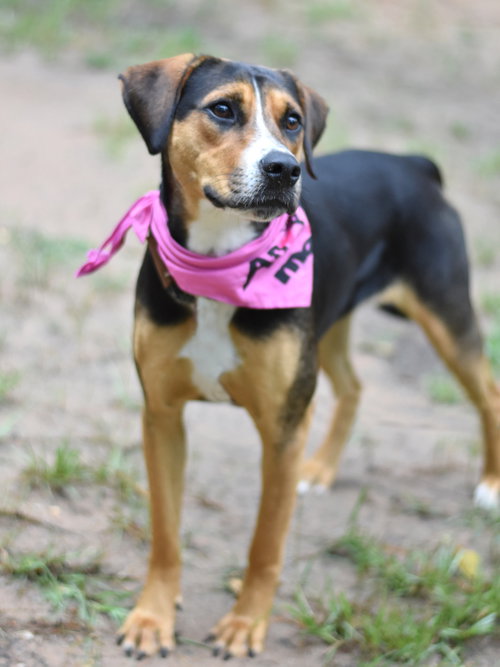 Photo 3 of Ember