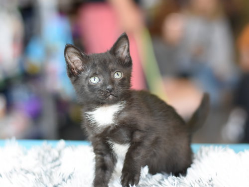 Photo 4 of Sally