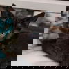 Fizz